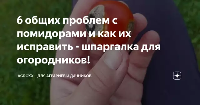 6 общих проблем с кексами и как их исправить