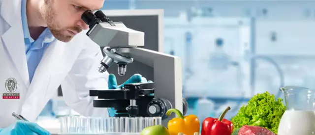 Торт, украшающий проблемы безопасности пищевых продуктов