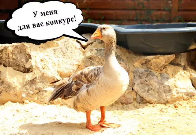 Ремесленный класс поддавки на национальный день украшения тортов