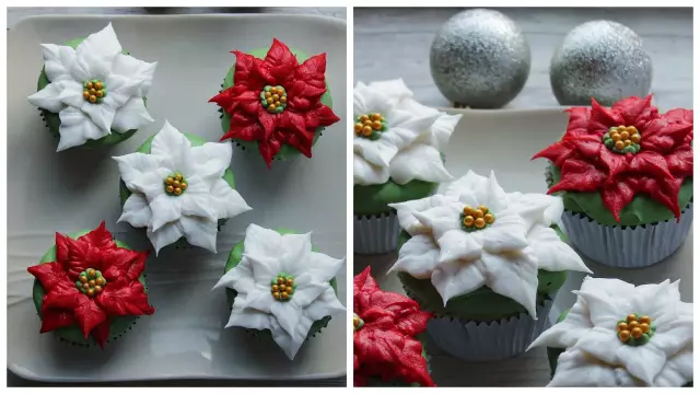 Как труба buttercream poinsettia цветы для праздников