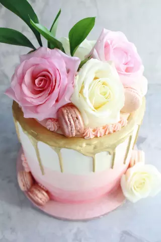Бесплатное учебное пособие ombre cake - на craftsy