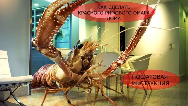Учебник snappin: как сделать помадку томатного омара