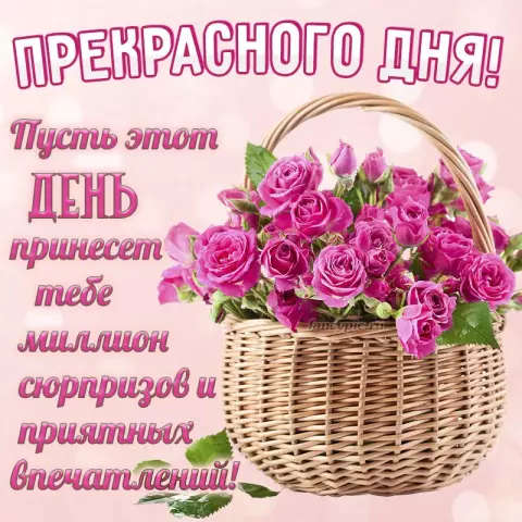 Создание приятных впечатлений: учебник по тиснению файлов cookie