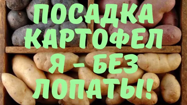 Вышивайте свою любимую цитату с пошаговыми инструкциями