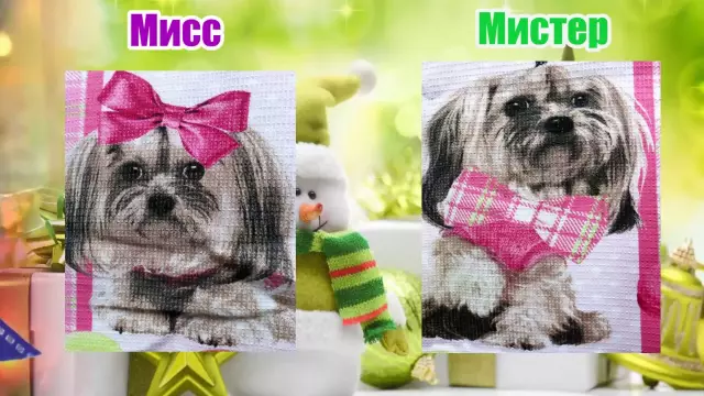 Diy кладовая: как сделать свой собственный кубики бульона овощей