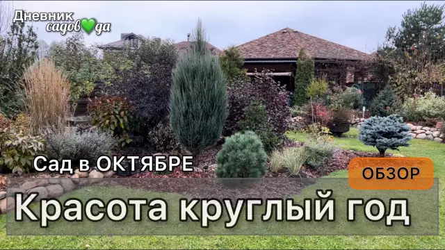 Осенью садовые работы для круглогодичной красоты