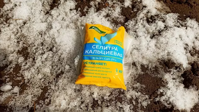 Приготовление огорода весной: 5 советов