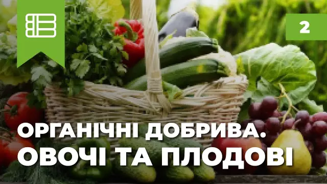 Растущие органические овощи: насколько это тяжело, действительно?