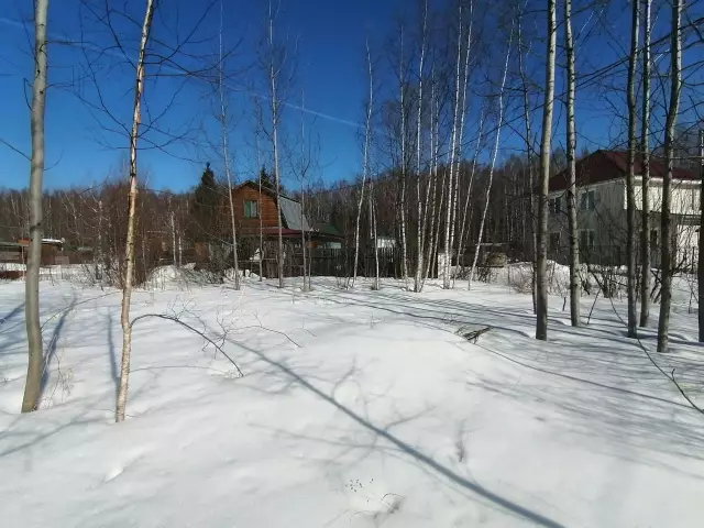 Как планировать садовое расположение трех сестер