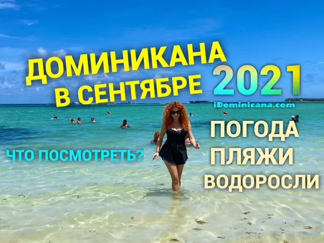 Дикие лукавые чувства: бесплатный учебник по картографии на ремесле