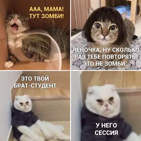 Раскрашивание крафт-карт с котиками: бесплатный учебник