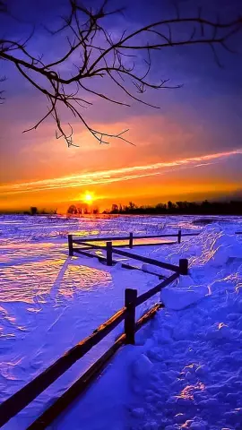 Советы по фотосъемке