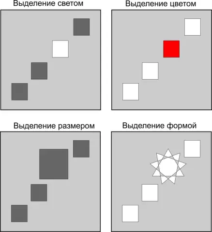 Основы композиции: советы по фотографии