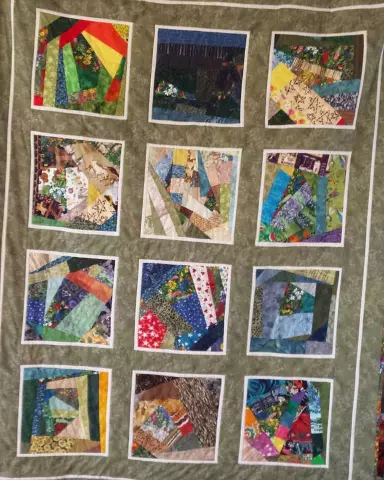 Geeky quilts: 9 бумажных пакетированных узоров для ботаника внутри
