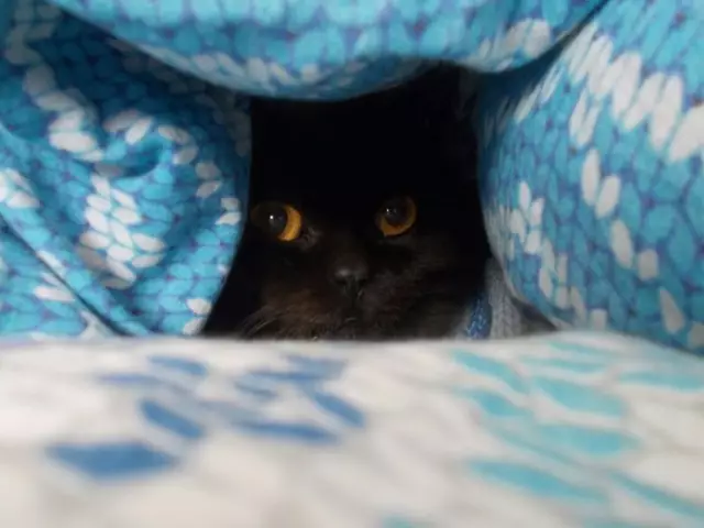 Соловое одеяло для каждого случая