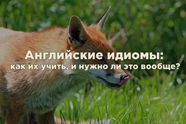 4 веселые швейные идиомы и откуда они пришли