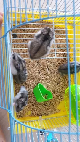 Как к руке: обтянутый шов