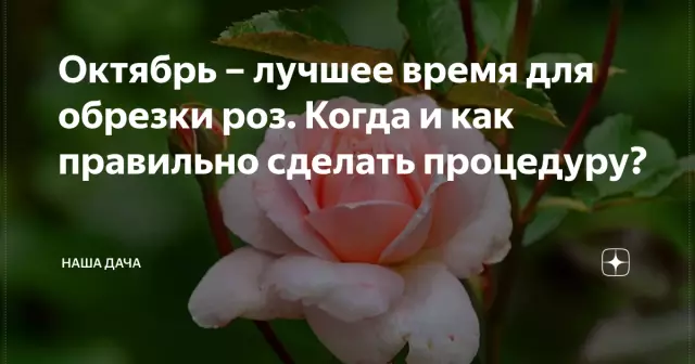 Октябрь - лучшее время для поездки в Европу. Вот почему