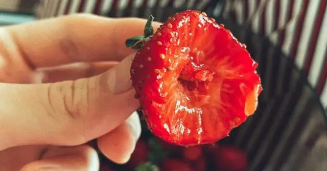 Рецепт: веганский тофу и овощной пирог
