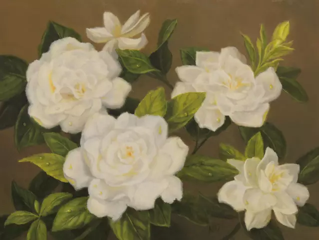 Являются ли Gardenias ядовитыми для домашних животных?
