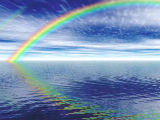Сравнение пылесосов Rainbow