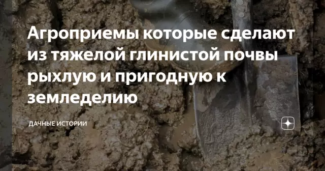 Различные типы глинистой почвы