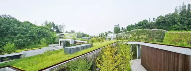Недостатки зеленых крыш