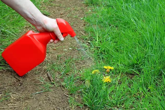Факты о Round Up Weed Killer