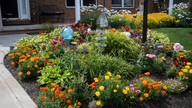 Идеи программы Garden Club
