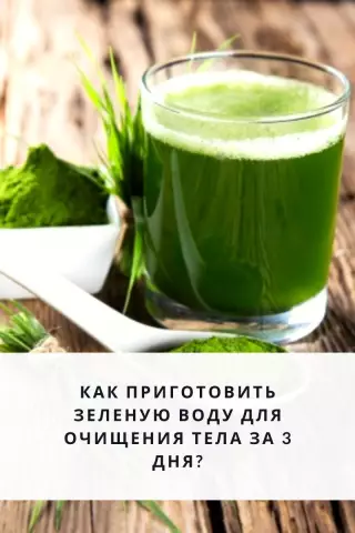 Как очистить зеленую форму от корпусов