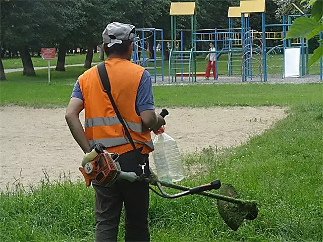 Как очистить леса для установки газонов или установки травы