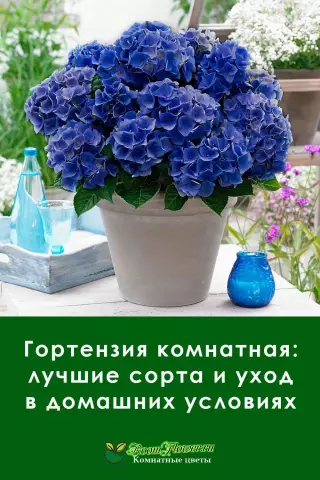 Как украсить дом с начала 1900-х годов