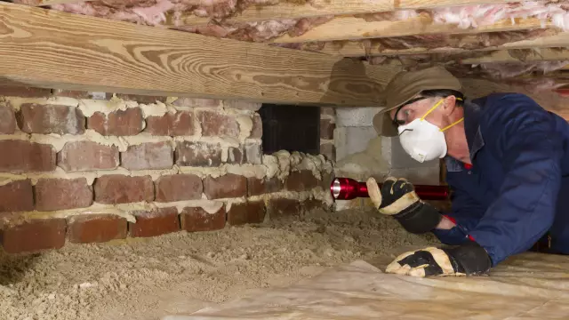 Как получить животное из Crawlspace