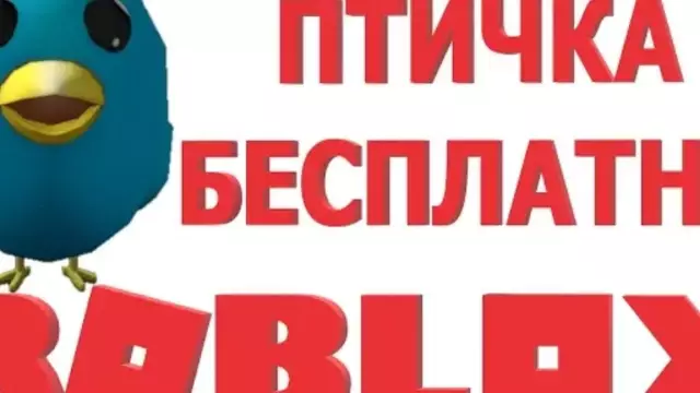 Как получить птицу из дома