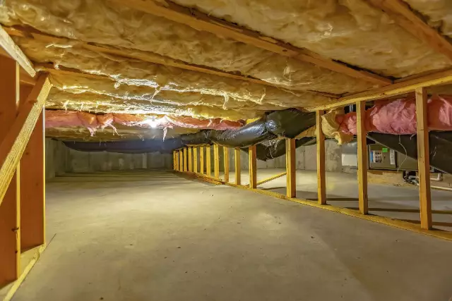 Как получить мужественный запах из Crawlspace