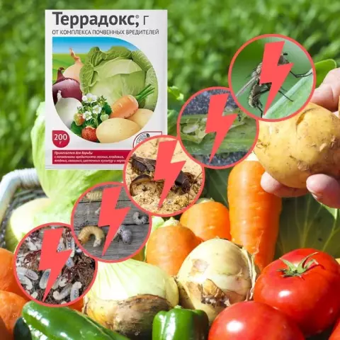 Как избавиться от почвенных кротов с мылом Рассвета