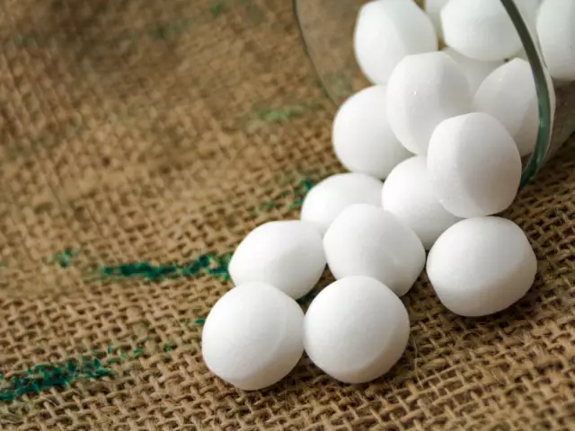 Как избавиться от мышей на Mothballs
