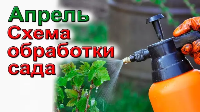 Как избавиться от палатки Гусеницы