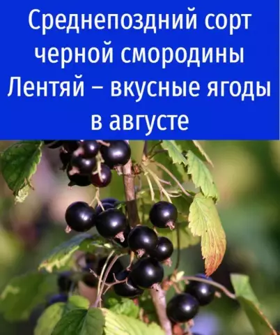 Как получить желтые пятна сжигания из микроволновой печи