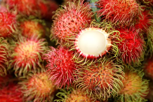 Как вырастить Rambutan
