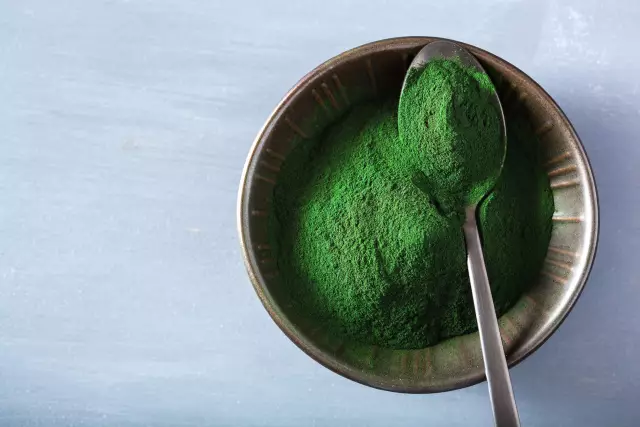 Как выращивать водоросли Spirulina