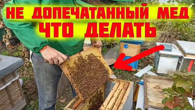 Как удержать пчел