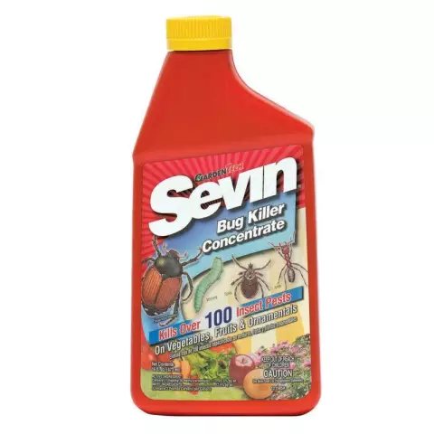 Как убить пчел, используя пыль Sevin