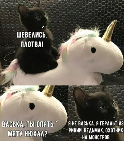 Как убить плотва в стенах