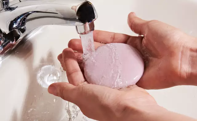 Как убить термитов с мылом и водой