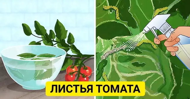 Как Сделать Все Натуральные Мыши Репелленты