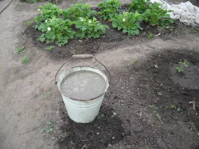 Как сделать удобрение для гибискуса
