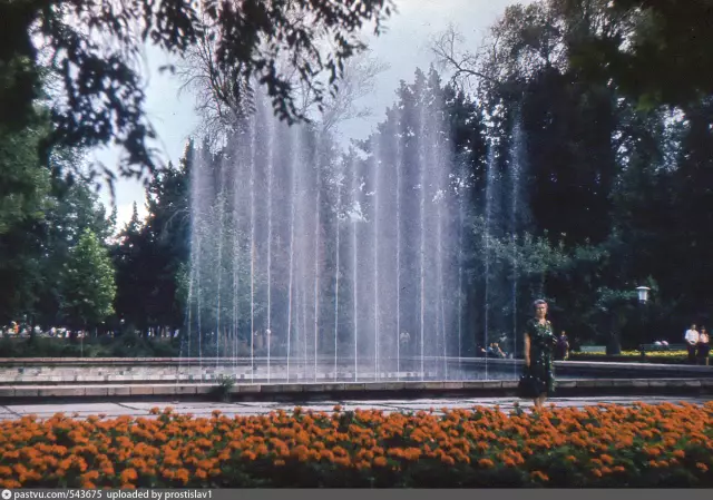 Как отремонтировать скамью из дубового парка