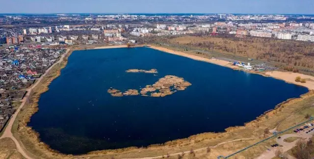 Как удалить птичий пупок из бетона