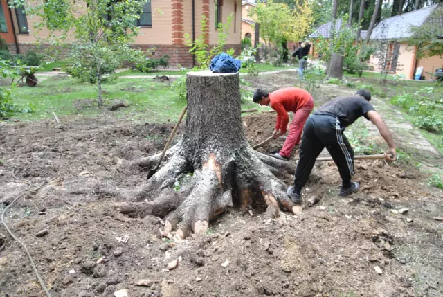 Как удалить застрявшие садовые шланги
